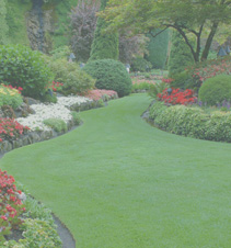 行业领先软件的免费ddos压力测试平台